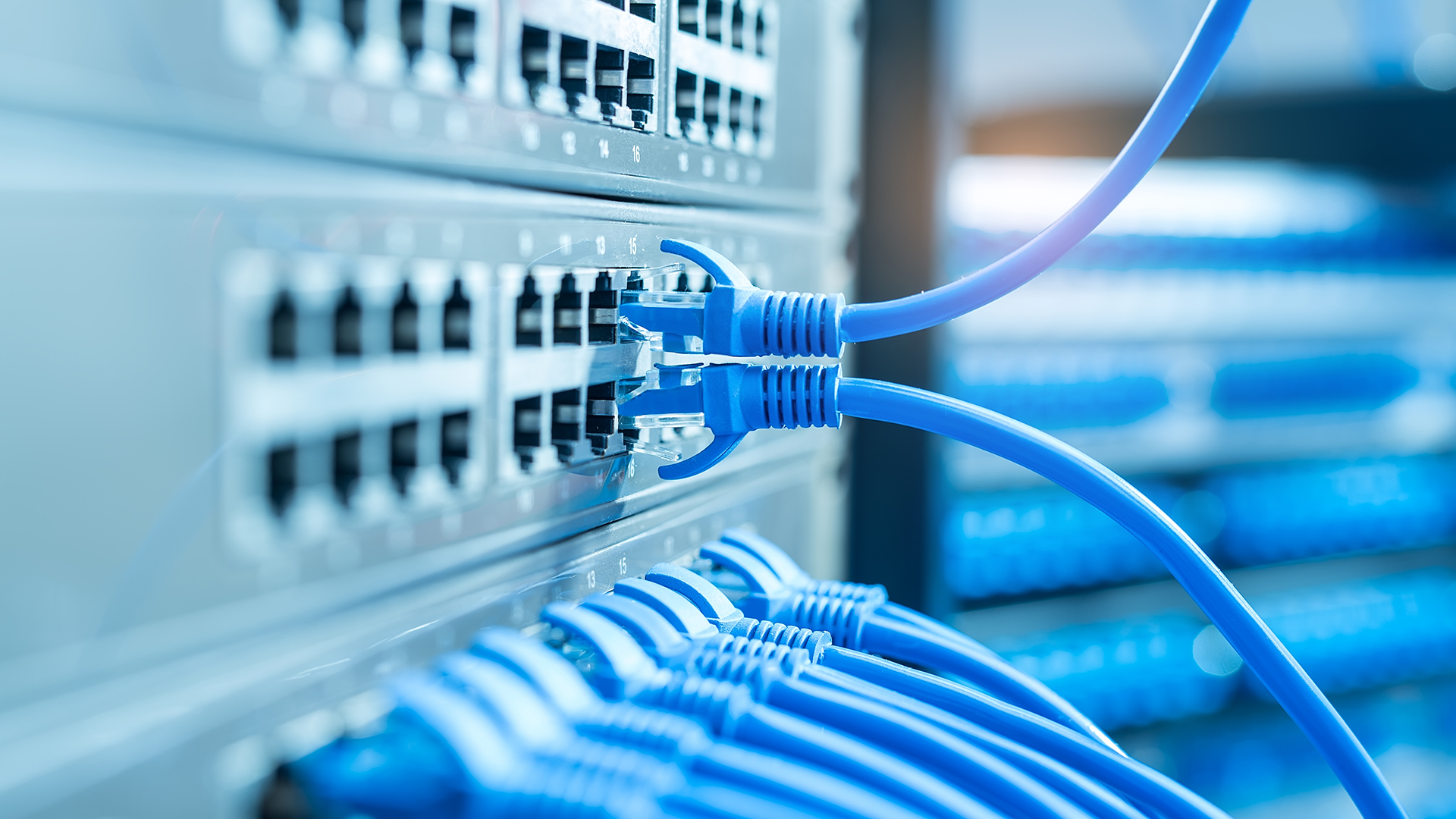 NETWORK &Ccedil;&Ouml;Z&Uuml;MLERİ